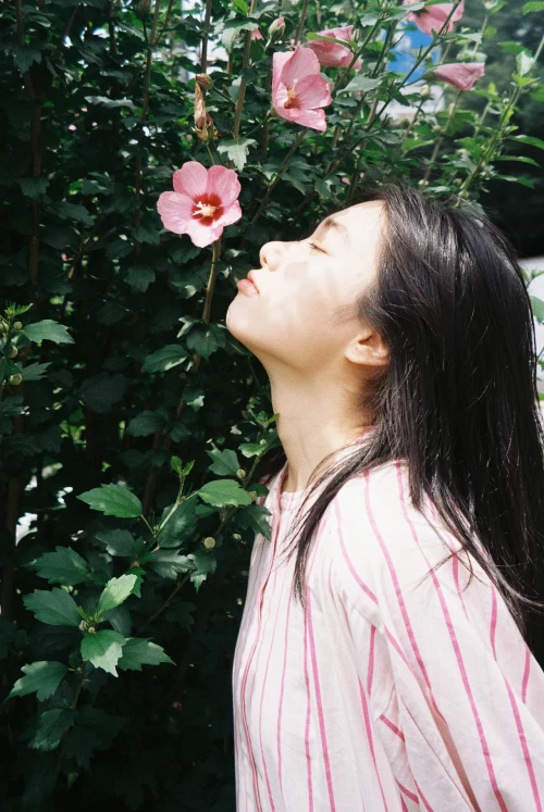 欢迎光临蝶花网！