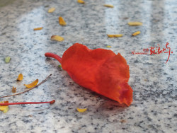 厦门&nbsp;寻找真的自己...自己拍的摄影作品，适合当桌面哦~