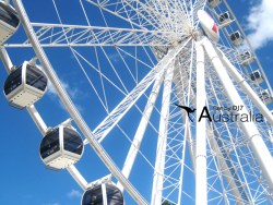 DJ-SEVEN 的澳大利亚之行