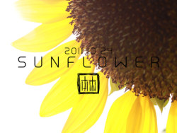 本棘工作室之。向日葵