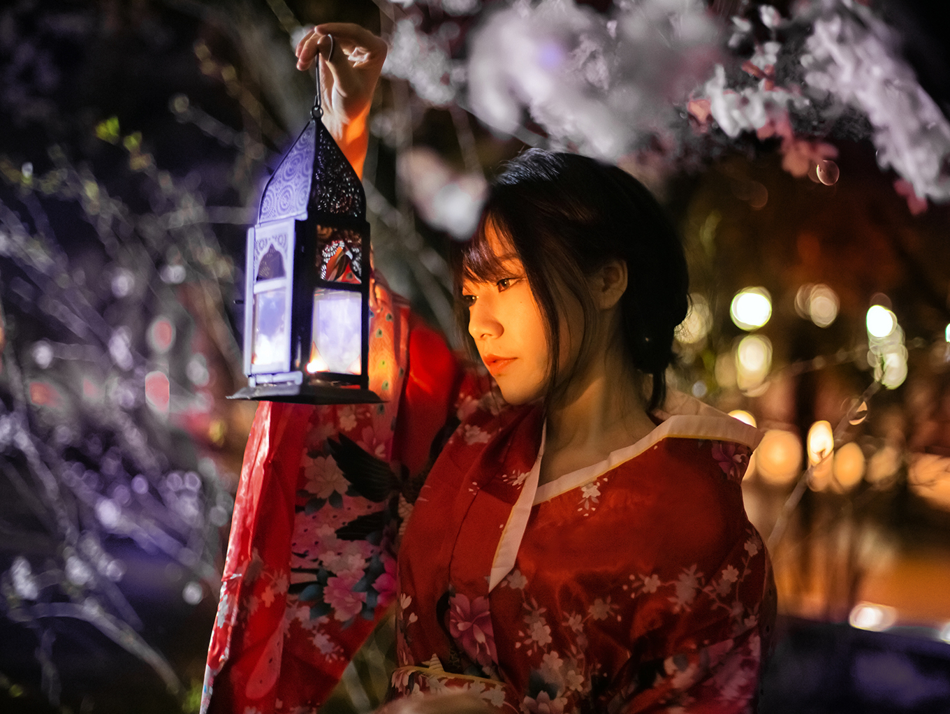 《夜樱》那夜的黑暗， 怎遮得住，櫻的芳華。或許我本不善言辭，唯有靜靜守候夜櫻沉淀的深情。