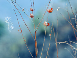 ｛春の恋 Spring 二