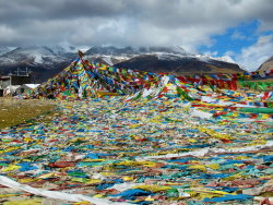 阿里大转25日苦旅——美景篇 