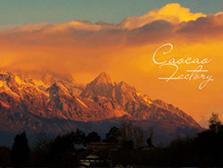 「堪称完美大昆丽」