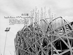 3月北京&nbsp;随手拍的