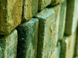 鱼塘·色彩小物