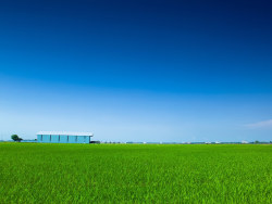 五天四夜游大马_鱼米之乡适耕庄