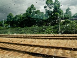 2011年6月，香港游记