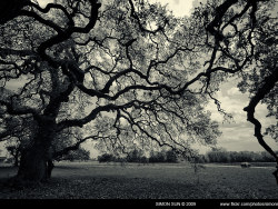 德克萨斯的回忆