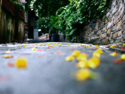 厦门&nbsp;一座很多人去过很多人在途中很多人计划去的城市