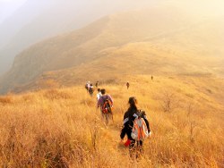 白虎涧—凤凰岭—小风口—大风口—车耳营一日穿越