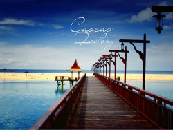 「the&nbsp;scenery&nbsp;in&nbsp;Thailand&nbsp;」