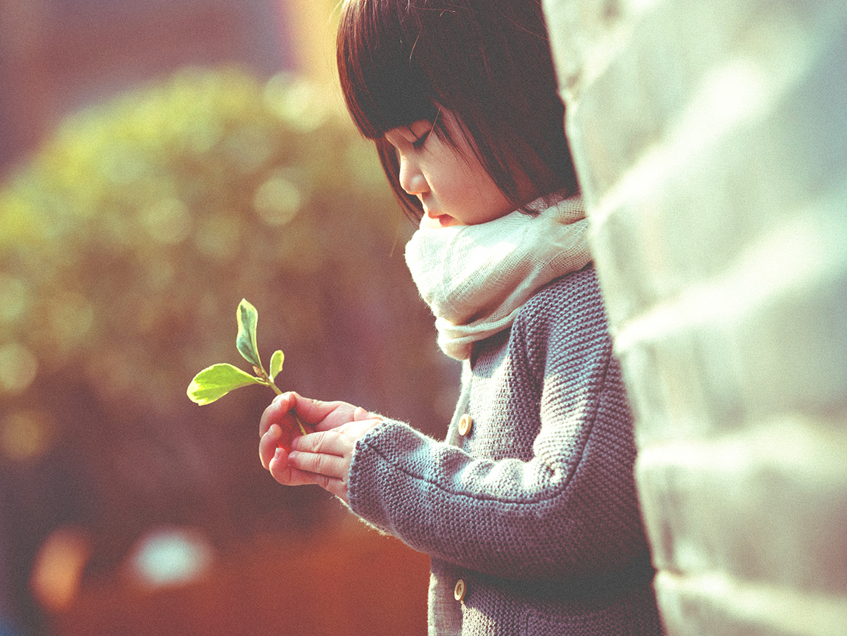 童年理想——山东济南树屋摄影作品