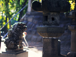 一路往东，拍在日本