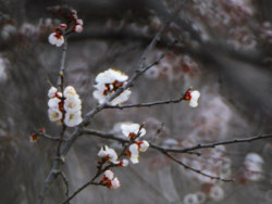 春梦方醒（续）