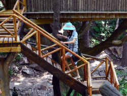 济南红叶谷随拍