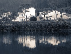 50天的独自旅行