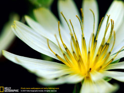 怀念第一次用180