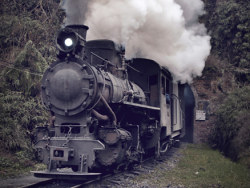 芭蕉沟，你去过吗？