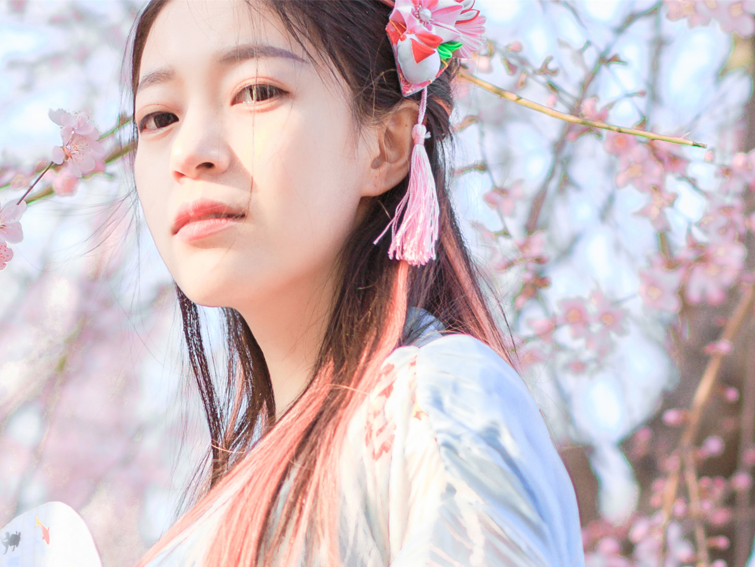 十里杏花不如你