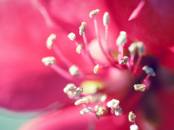 游&nbsp;·&nbsp;春色