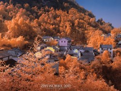 《上善若水，大道齐云》590篇