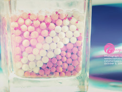 陶碳球负离子植栽-心型草的成长过程