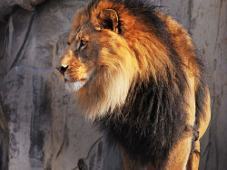 没事干~~噹类个噹~~~