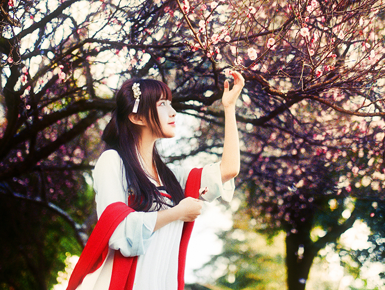 一株梅花，一抹红颜