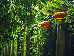 城市的角落记忆&nbsp;华侨新村