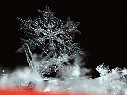 晶莹剔透的雪花