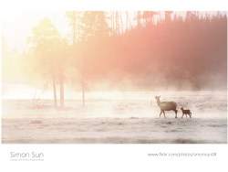 《荒野之心》美国黄石国家公园