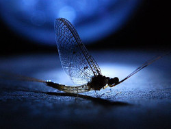 北京 松山生态