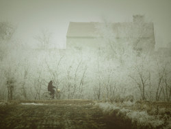 乡村雾淞（续）