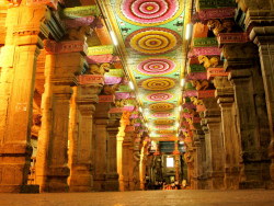 #出发的勇气#单车环印度-南印骑行-madurai