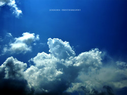 如果海里也有云