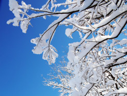 【上天带给的惊喜】