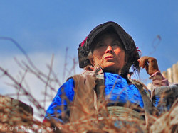 用电影画面拍毕棚沟