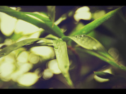 2034·中国风系列摄影作品