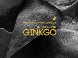 银杏，其实都是爱疯照的=&nbsp;=