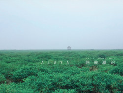 【A&nbsp;L&nbsp;A&nbsp;Y&nbsp;A&nbsp;·&nbsp;阿&nbsp;赖&nbsp;耶&nbsp;识&nbsp;2&nbsp;0&nbsp;1&nbsp;3】