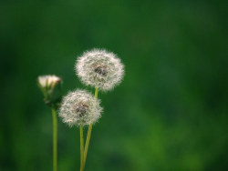 为自己的摄影（二）