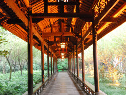 成都印象（2）原创&nbsp;