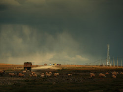 大爱这电影般的画面感觉