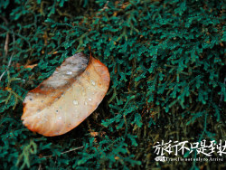 旅行不只是到达——发现被遗忘的细节……