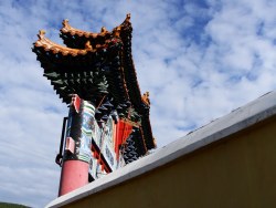 家乡的湿地和大菩提寺