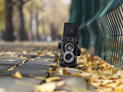 2012年11月&nbsp;银杏/三里屯/双反