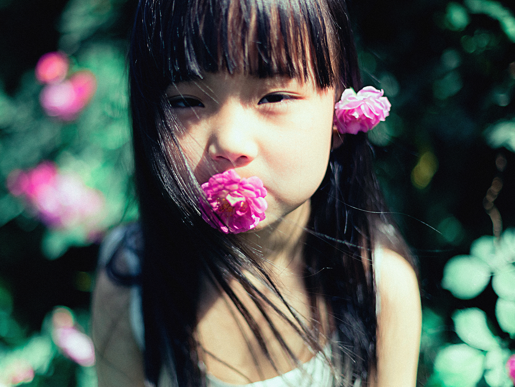 心有猛虎，细嗅蔷薇——树屋日记