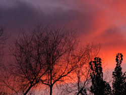 EVERYTHING&nbsp;WILL&nbsp;BE&nbsp;FINE