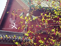 春暖又花开